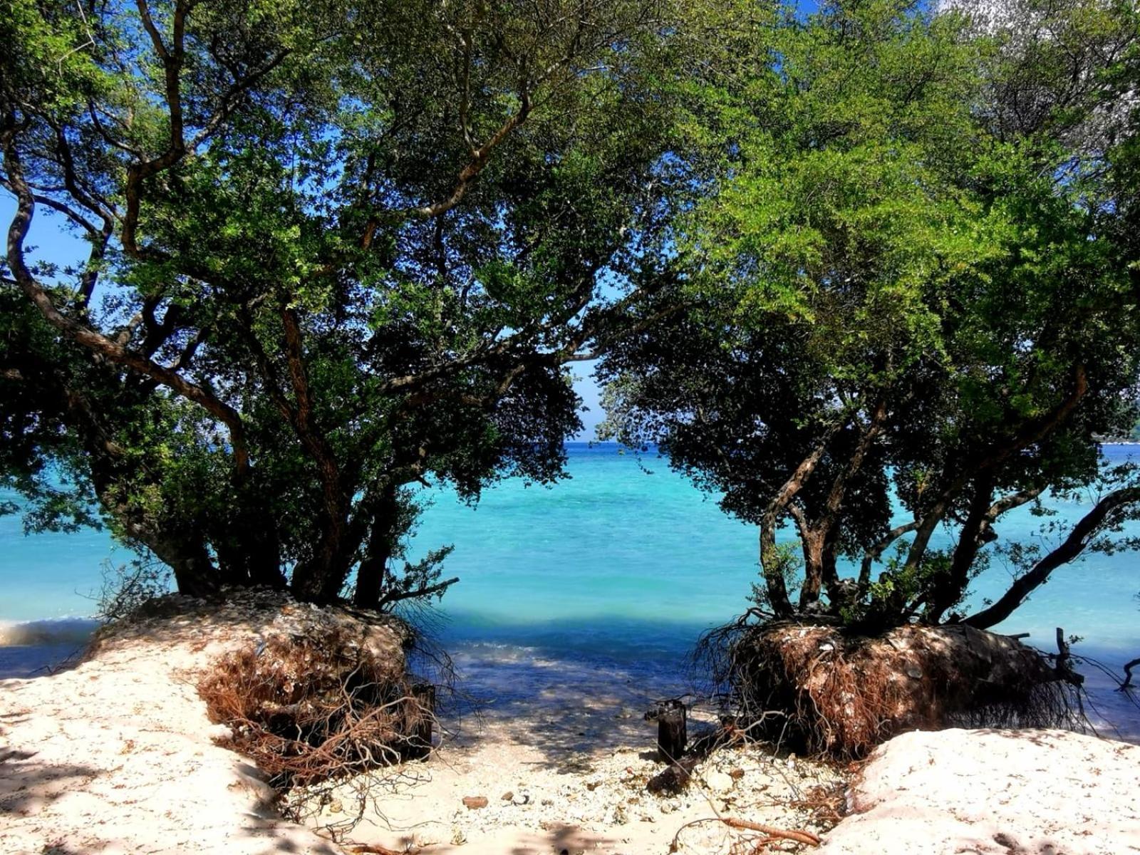Villa Exotic House Gili Meno Esterno foto