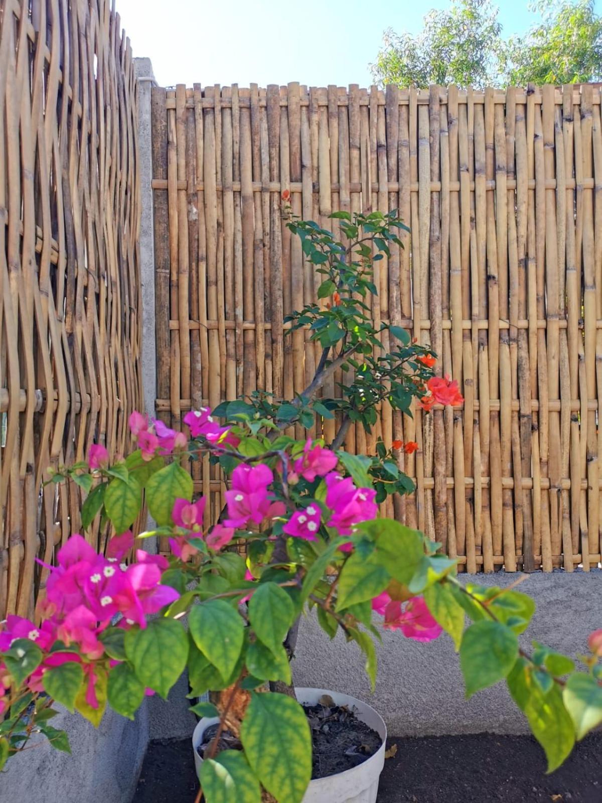 Villa Exotic House Gili Meno Esterno foto
