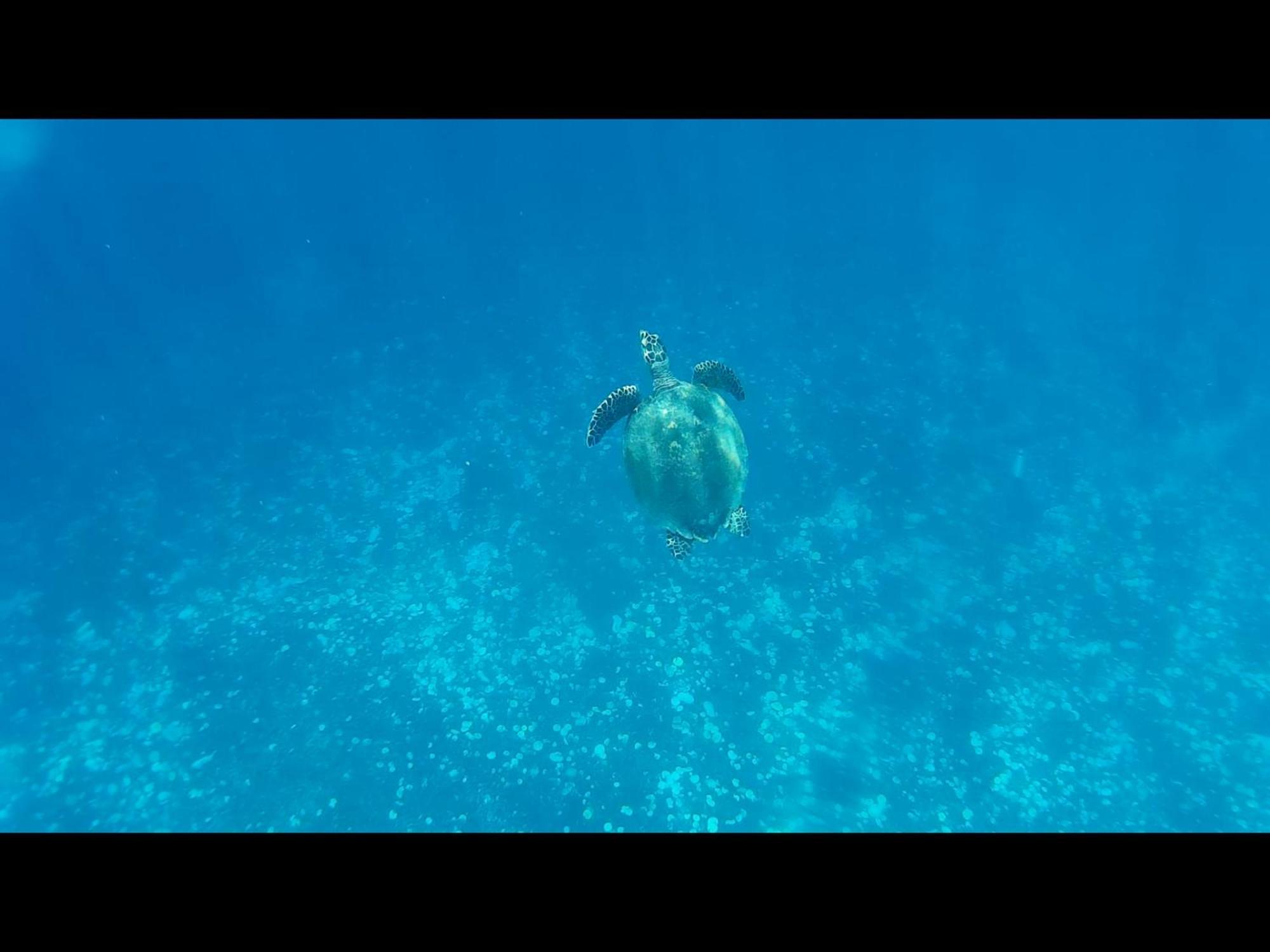 Villa Exotic House Gili Meno Esterno foto